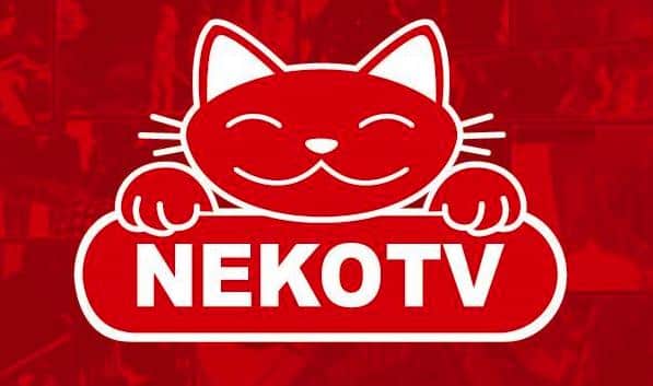 Come vedere il canale Neko Tv sul digitale terrestre